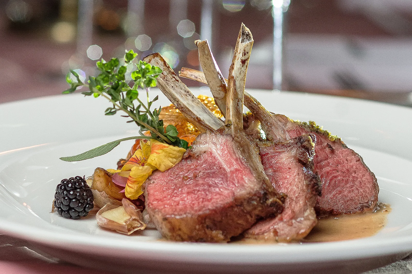 Herb-Crusted Lamb Chops with Foie Gras